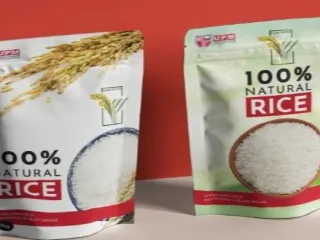 PadiU Putra : High yield and blast resistant rice variety