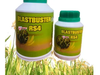 Blastbuster RS4 as a Potential Biocontrol Agent Against Rice Blast Disease
