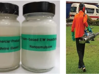 Palm oil-based Nanoemulsion in water (EW) Insecticide