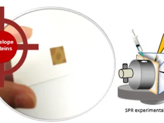 RGO-PAMAM based SPR Sensor for Rapid Dengue Virus Detection