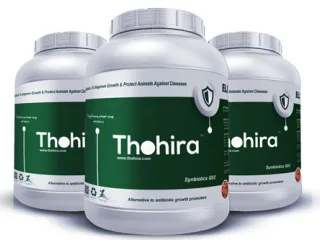 Thohira - Aquaformula