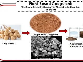 Synthesis of Plant-Based Coagulant for Turbidity Removal in Water Treatment.